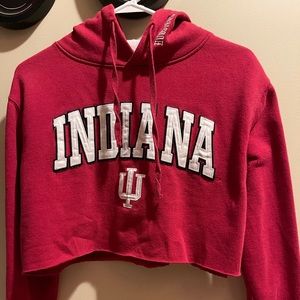 Indiana Cropped Hoodie